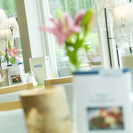 Hotell Gesundheitszentrum Baerenhof 3*